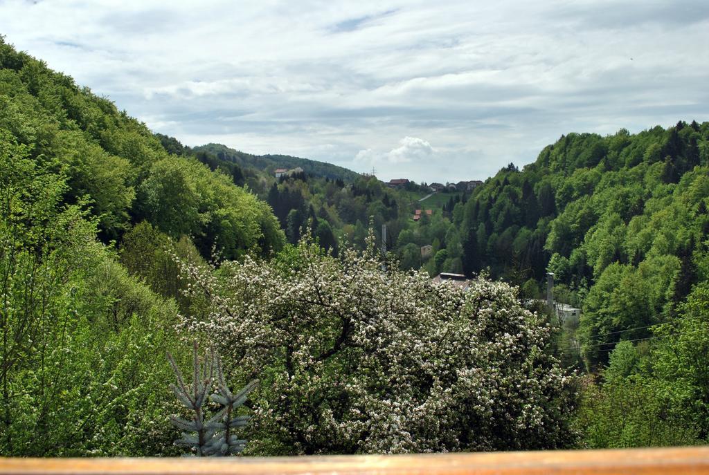 Fewo Radi An Der Buchberger Leite Apartment Hohenau Exterior foto