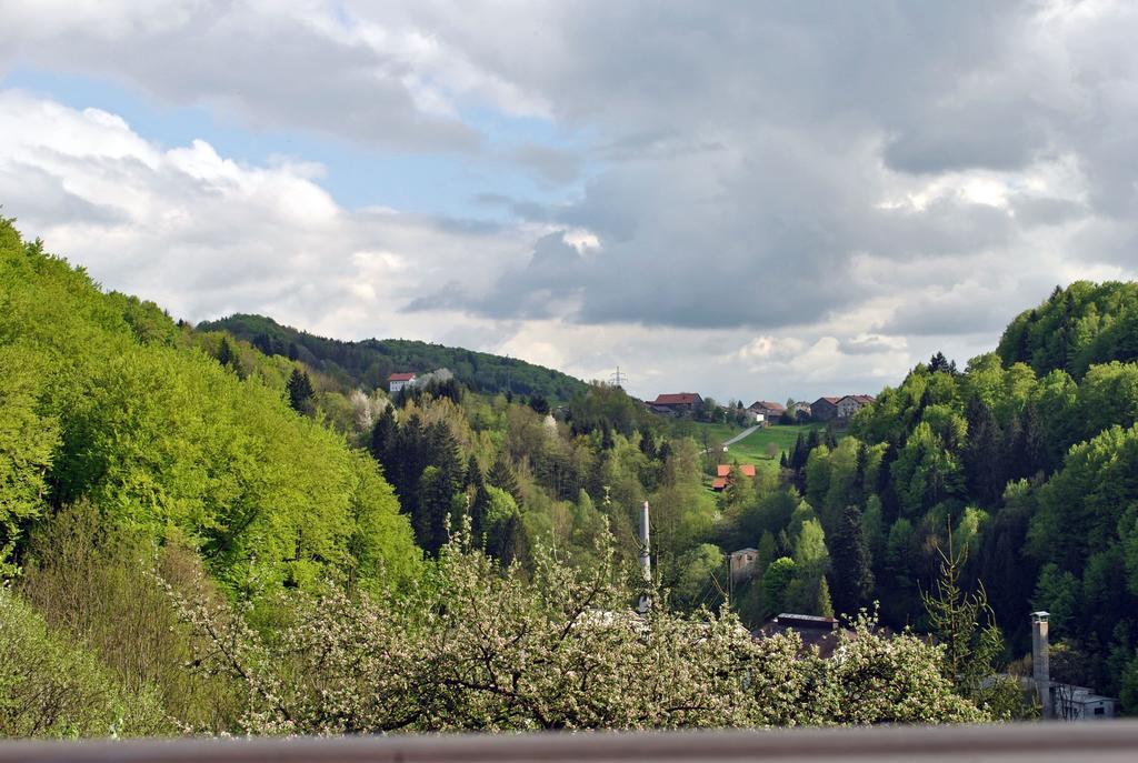 Fewo Radi An Der Buchberger Leite Apartment Hohenau Exterior foto